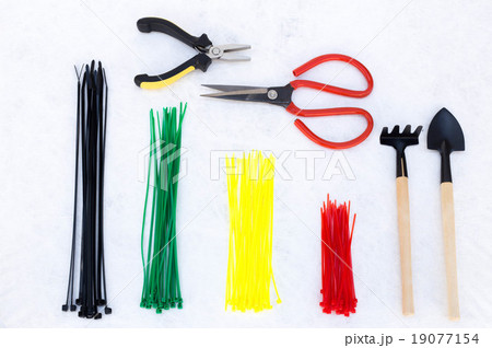 Set of  gardening care equipment on white 19077154