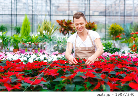 Smiling florist is taking care of flowers. 19077240