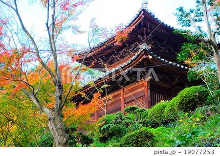 四国霊場第八十一番札所　白峯寺　薬師堂 19077253