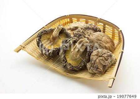 干し椎茸  乾し椎茸  熊本産 19077649