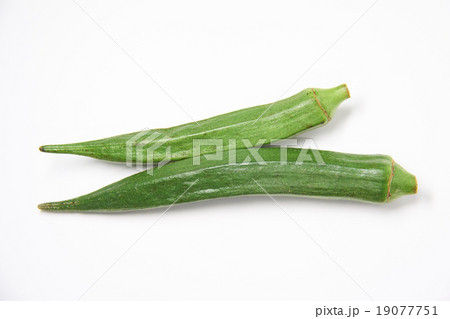 白背景の二本のオクラ 19077751