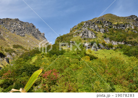 焼岳登山道の紅葉 焼岳登山道の紅葉 19078283