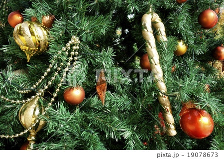 クリスマスツリー 19078673