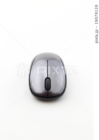 マウス 19079139