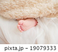 赤ちゃん乳児の足 Baby leg 19079333