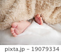 赤ちゃん乳児の足 Baby legs 19079334