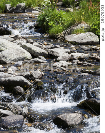 Mountain Creek Mountain Creek 19079953
