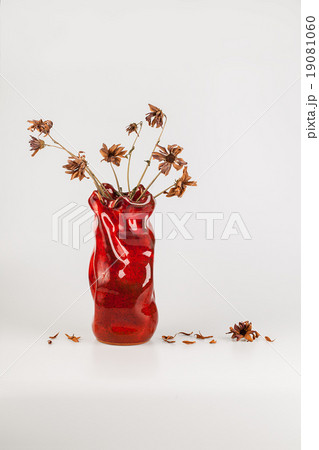 bouquet of dry flowers in a vase isolated on white 19081060