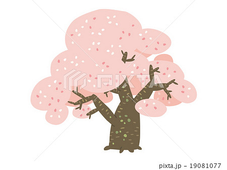 桜02 19081077