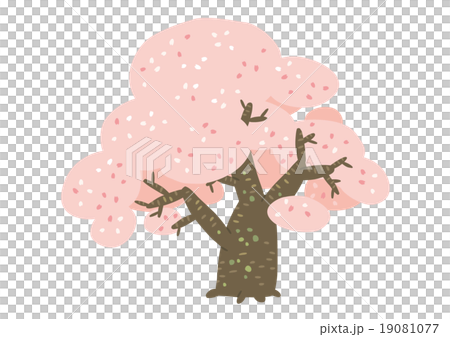 桜02 19081077
