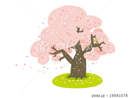 桜03 19081078