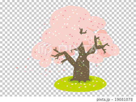 桜03 19081078