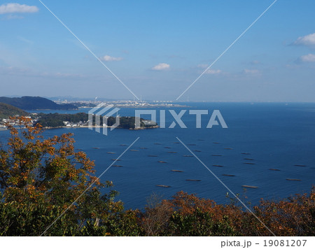 室津の牡蠣筏 19081207