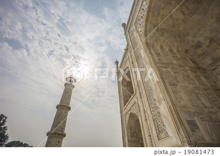タージマハル 19081473