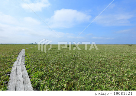 メグマ湿原 19081521