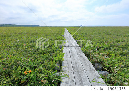 メグマ湿原 19081523