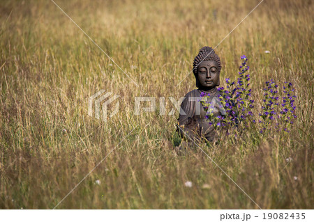 Buddha statue meditating on a meadow Buddha statue meditating on a meadow 19082435