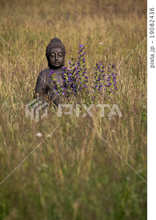 Buddha statue meditating on a meadow Buddha statue meditating on a meadow 19082436