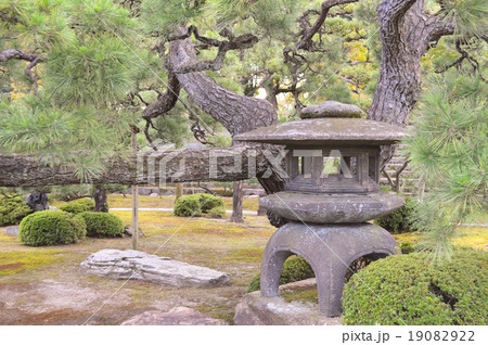 日本庭園　雪見灯篭と松 19082922