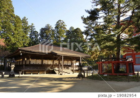 高野山 壇上伽藍の御影堂と三鈷の松の写真素材