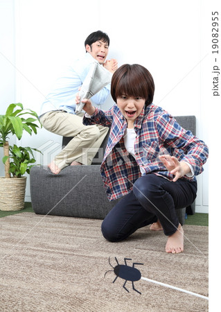 害虫退治　ゴキブリ　虫　夫婦 19082955