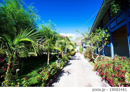 Garden Garden 19083481