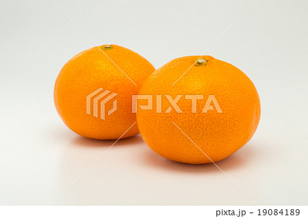 みかん　2個 19084189