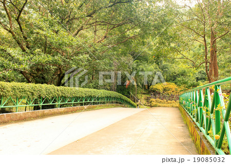 Pedestrian Bridge surrounded by trees 19085032
