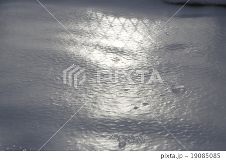 road under ice 19085085