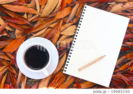 cup of coffee and notebook on dry leaves cup of coffee and notebook on dry leaves 19085230