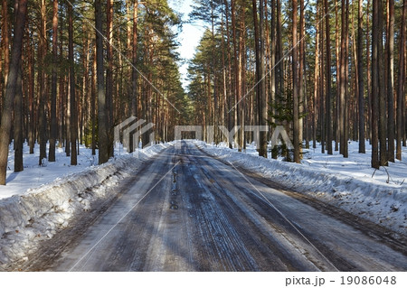 Winter Road 19086048