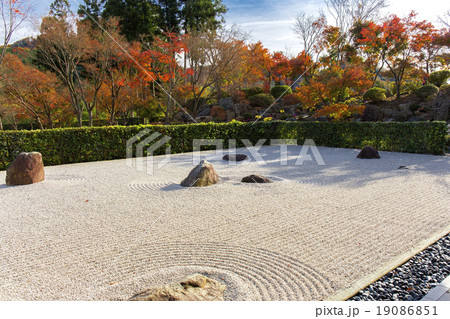 枯山水の紅葉 19086851