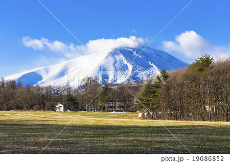 雪の浅間山 雪の浅間山 19086852