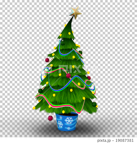 Christmas tree  19087381