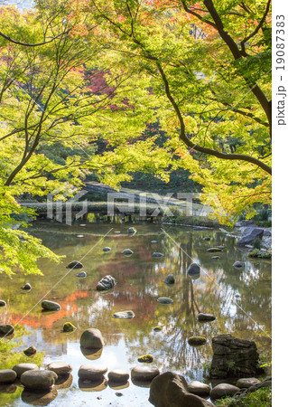 紅葉したもみじの季節風景 19087383