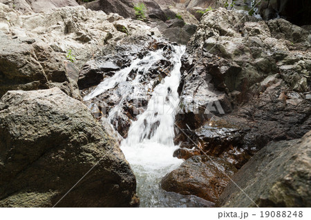 Waterfall on Koh Samui 19088248