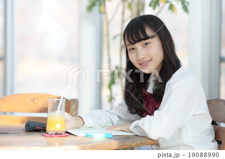 カフェで宿題をする女子高生 カフェで宿題をする女子高生 19088990