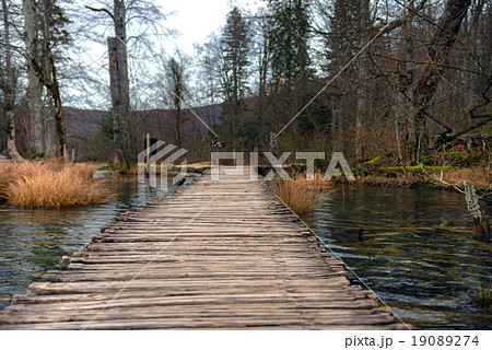 Wooden path trough the lakes 19089274