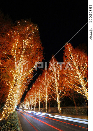 ローム イルミネーション ローム イルミネーション 19089395