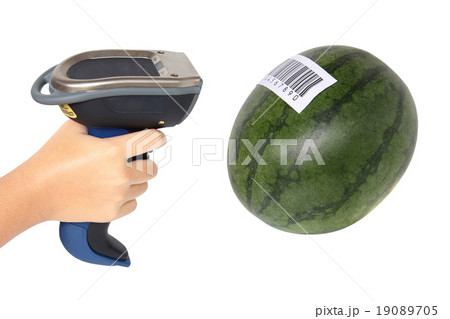 Scanning label on watermelon with barcode scanner 19089705