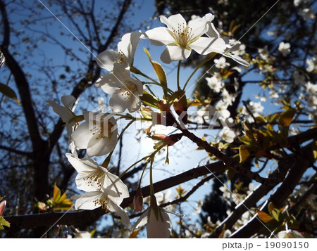 秋の風景-5 19090150