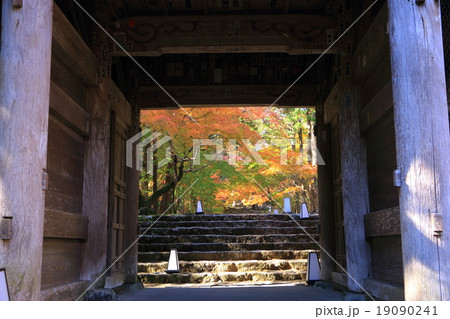 秋の竹林寺境内 19090241