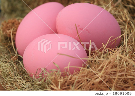 pink pickled preserved egg pink pickled preserved egg 19091009