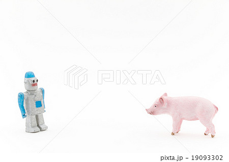 ロボットと子豚の出会い ロボットと子豚の出会い 19093302