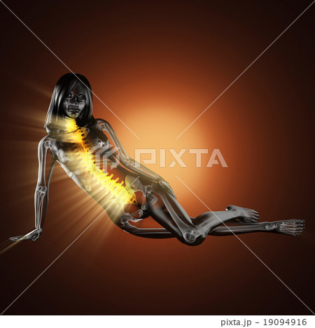 woman bones radiography scan image woman bones radiography scan image 19094916