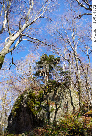 飛越岩 比婆山古道 巨岩 飛越岩 比婆山古道 巨岩 19094972