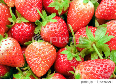 Fresh strawberry from the farm 19096391
