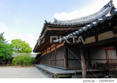 奈良 19096404
