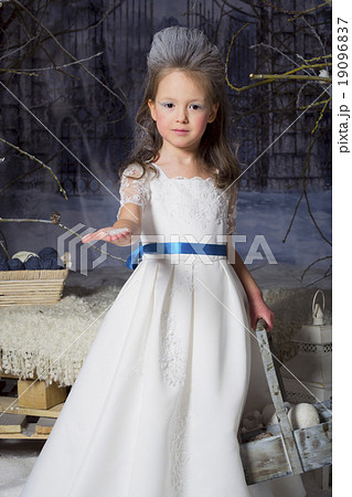 Snow Princess 19096837