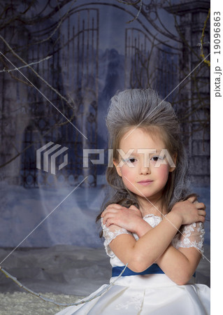 Snow Princess 19096863